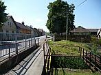 Třibřichy
